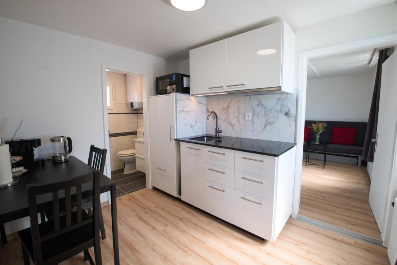 Lake Getaway Apartment With Private Entrance, Right On The Lake Constance Cycle Path, Barbecue Area, Free Wifi, Netflix And Free Bikes Salmsach Экстерьер фото